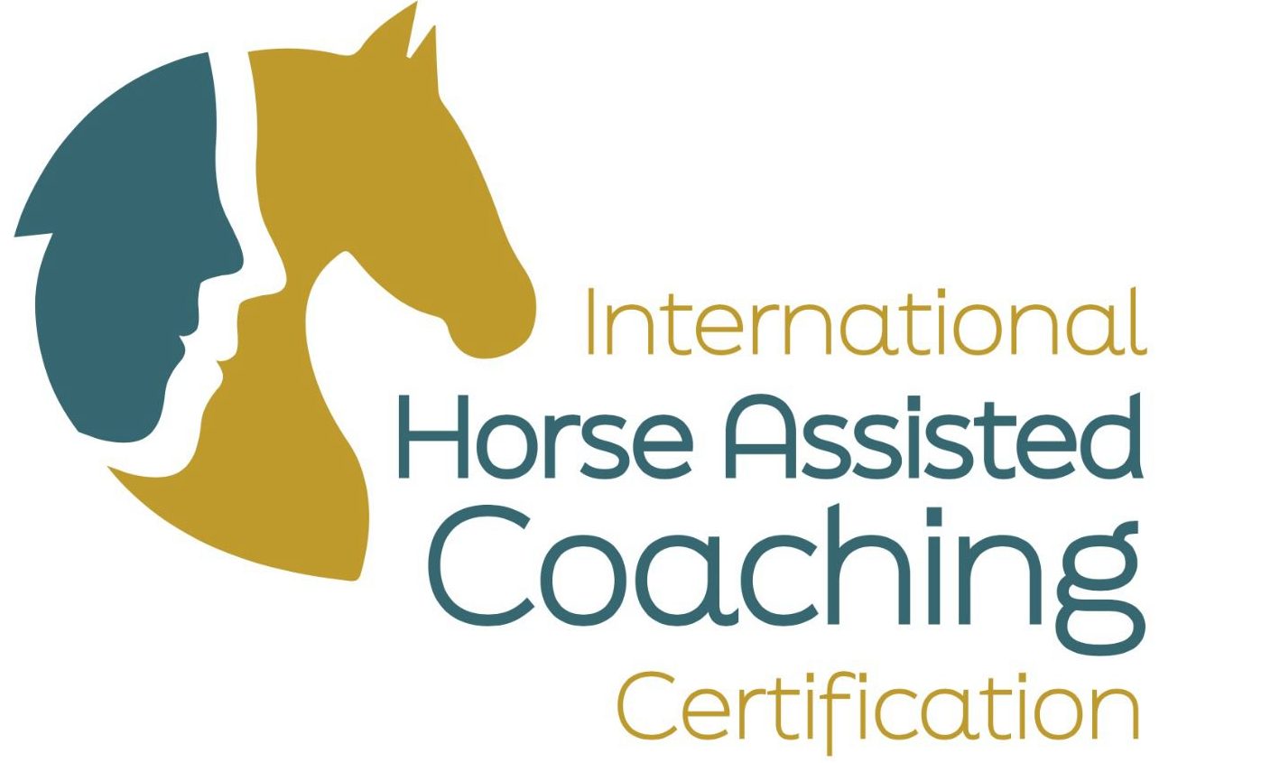 INTERNATIONAL HORSE ASSISTEND COACHING CERTIFICATION